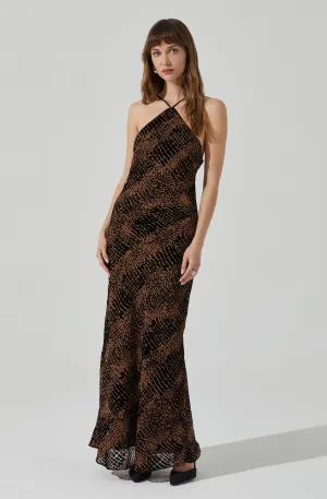 Briotte Velvet Burnout Maxi Dress