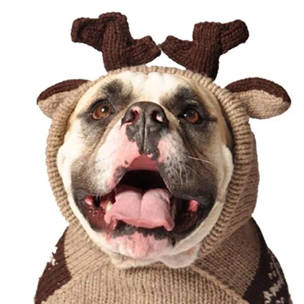 Moosey Hoodie Wool Dog Sweater